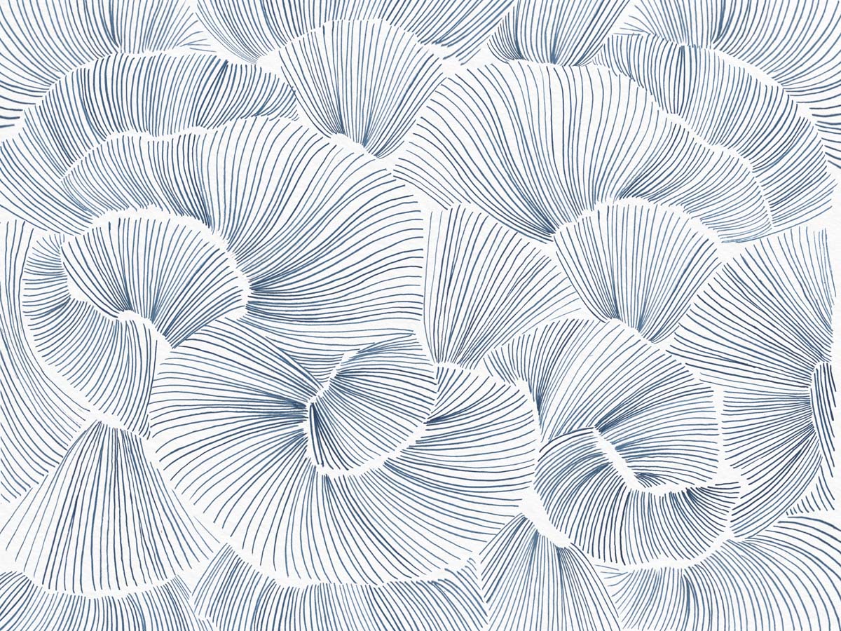 Aerisca, Soft Steel Blue Petal Drift Wallpaper Mural
