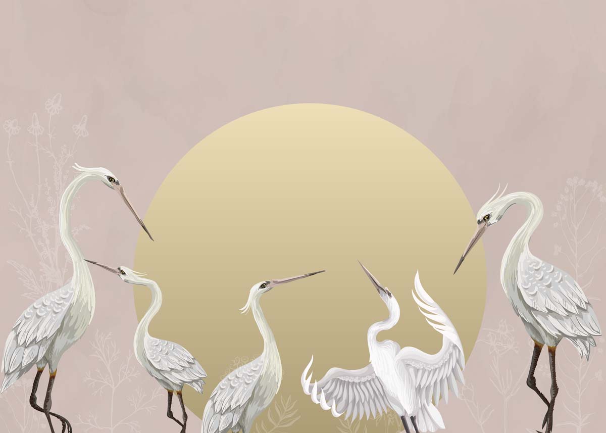 Alira, Dancers of the Sky Wallpaper Mural