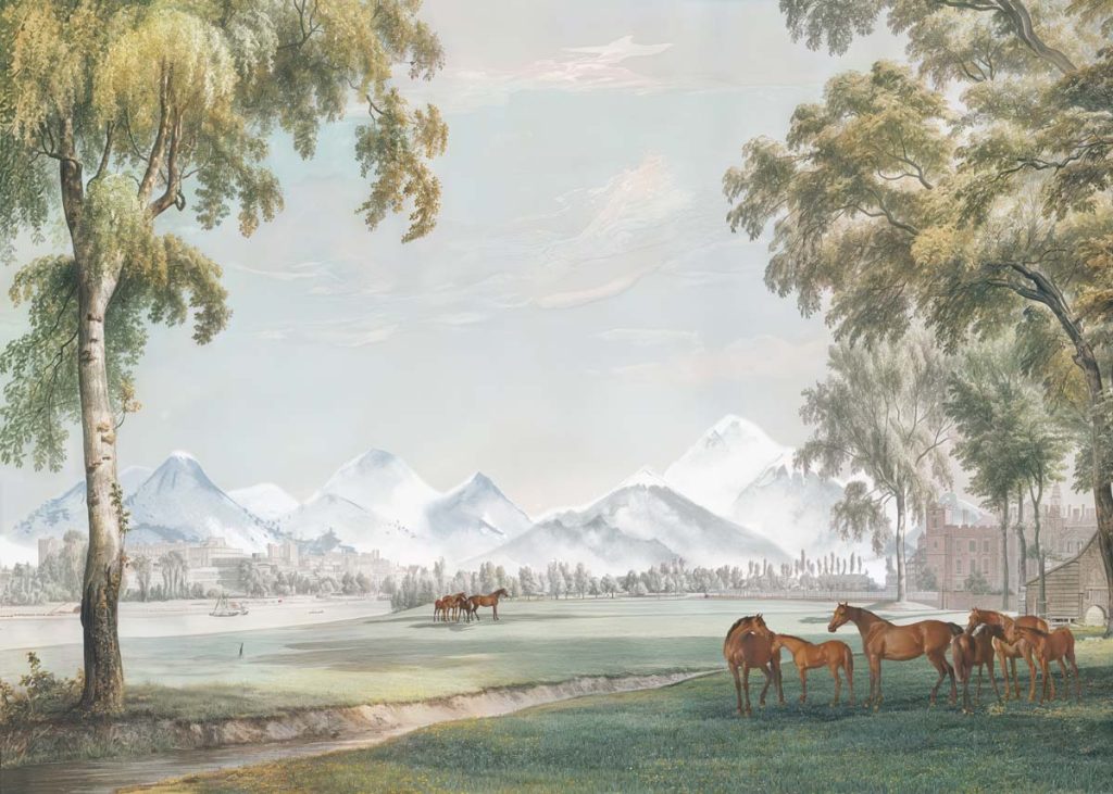 Alpine Pasture, Vintage Horse & Castle Wallpaper Mural