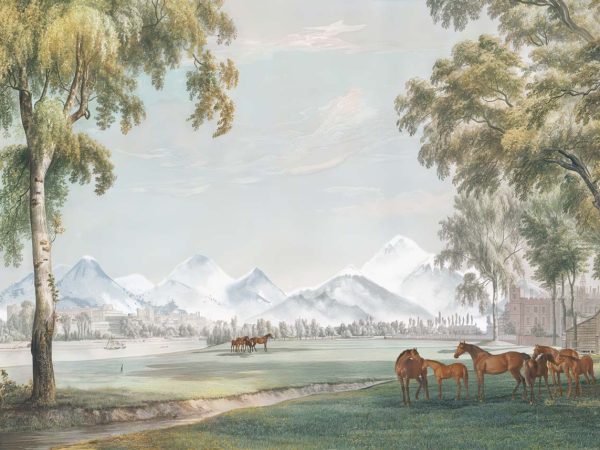 Alpine Pasture, Vintage Horse & Castle Wallpaper Mural