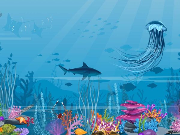 Aqua Safari, Beneath The Waves Wallpaper Mural