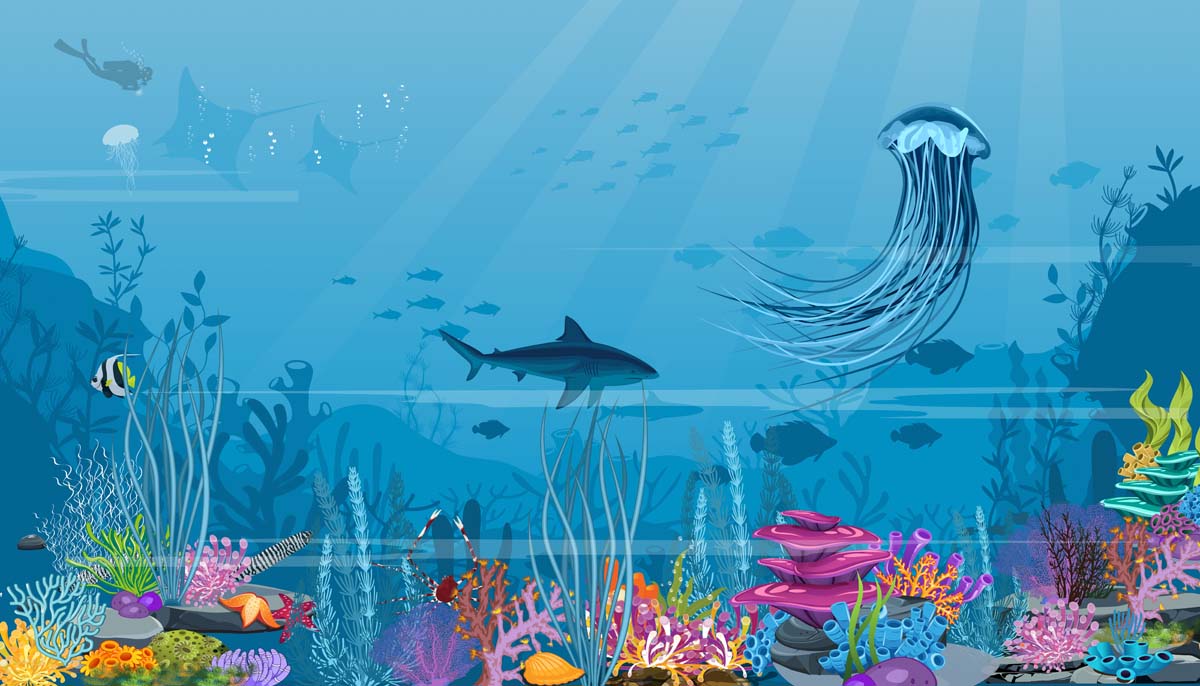 Aqua Safari, Beneath The Waves Wallpaper Mural