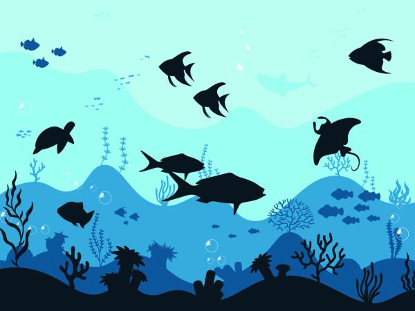 Aqualune, Ocean Whimsy Wallpaper Mural