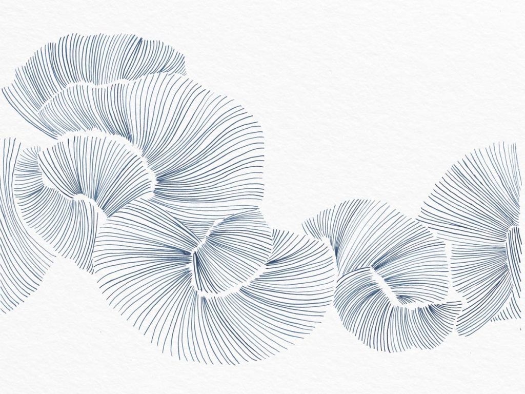 Aurevia, Fine Indigo Linework Petals Wallpaper Mural