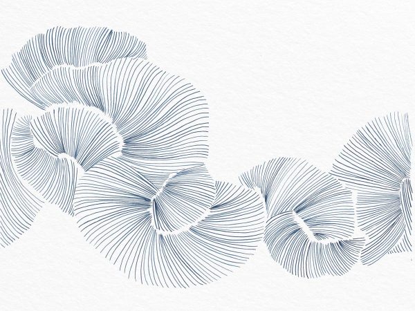 Aurevia, Fine Indigo Linework Petals Wallpaper Mural