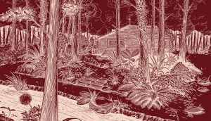 Crimson, Deep Forest Landscape Wallpaper Mural