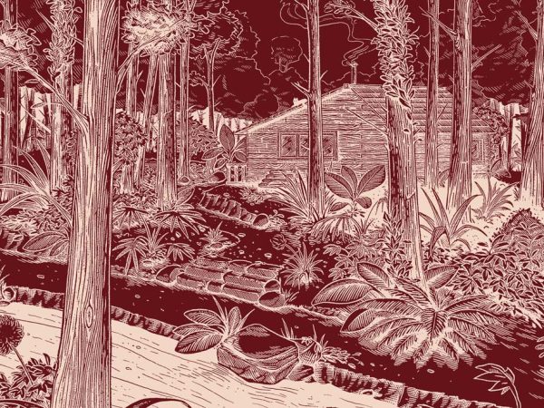 Crimson, Deep Forest Landscape Wallpaper Mural