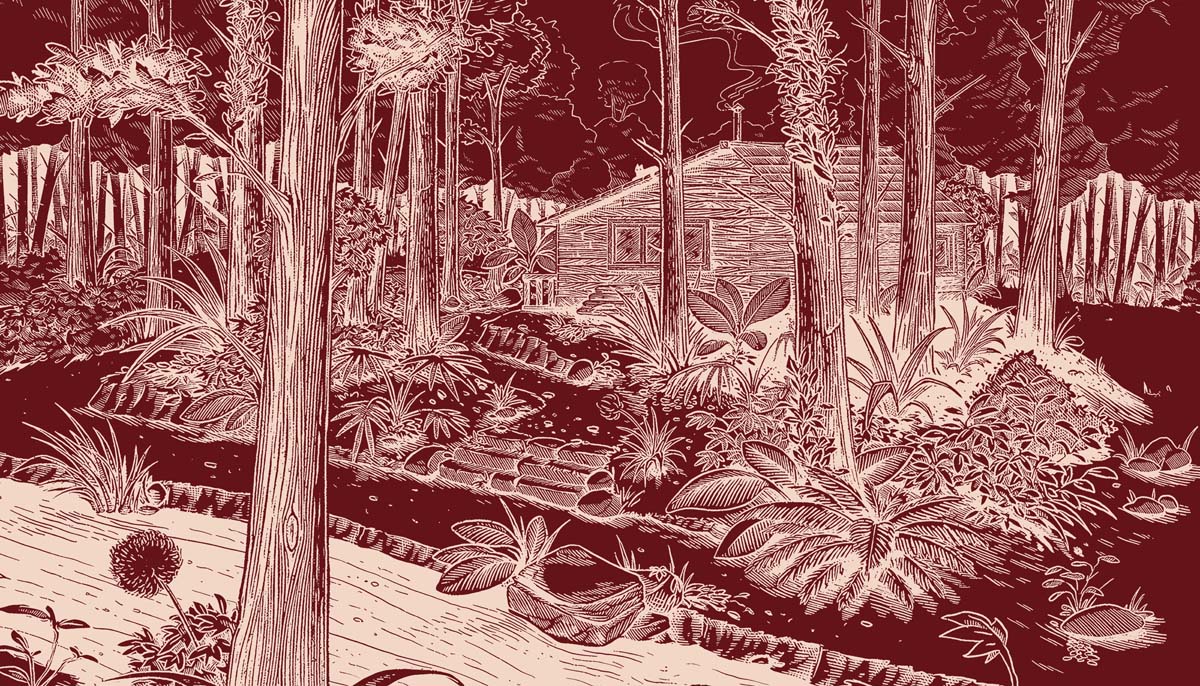 Crimson, Deep Forest Landscape Wallpaper Mural