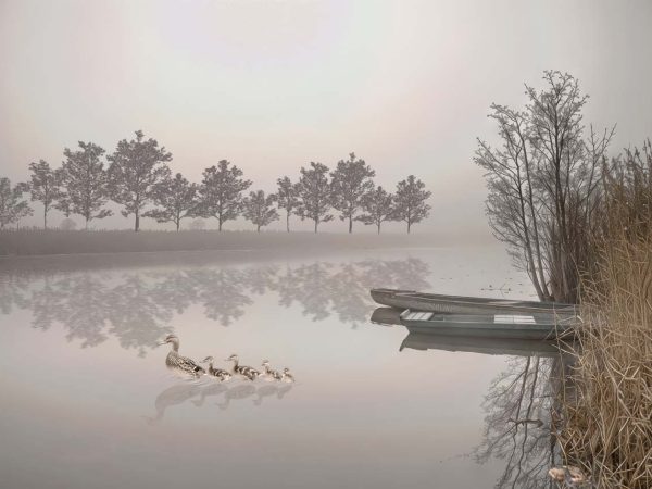Hazy Horizon, Calm Lake Landscape Wallpaper Mural