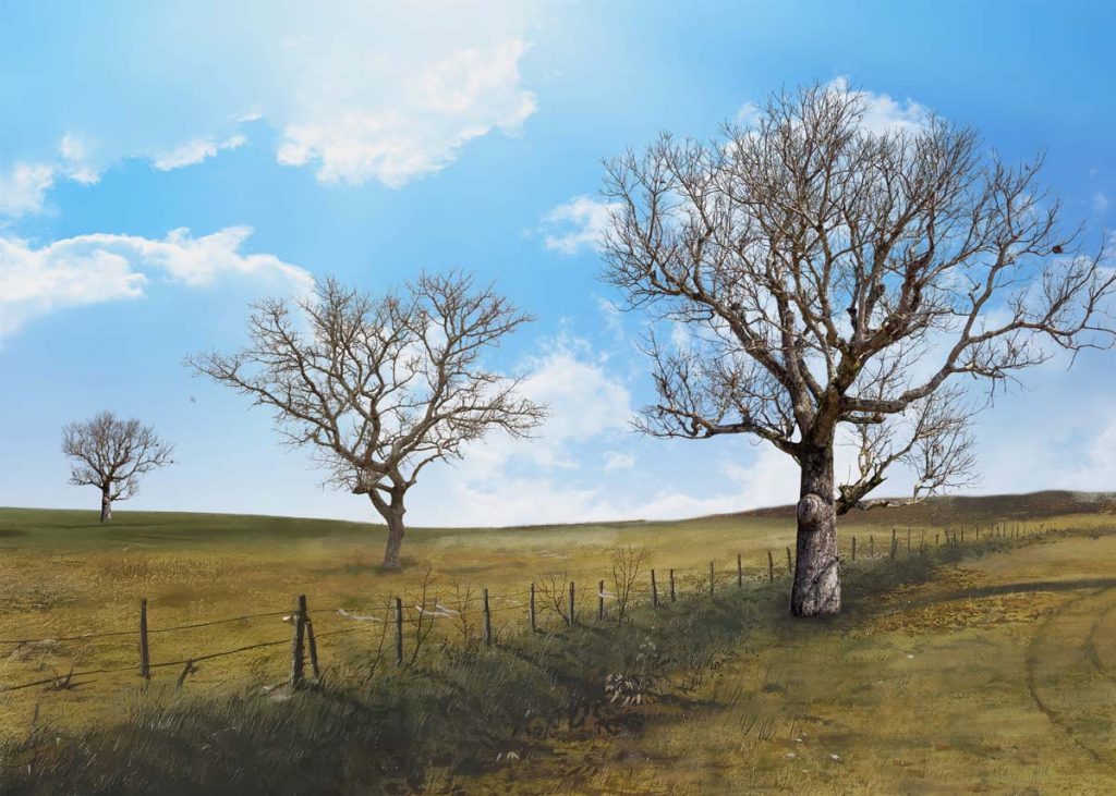 Horizon, Rural Dry Season Scape Wallpaper Mural