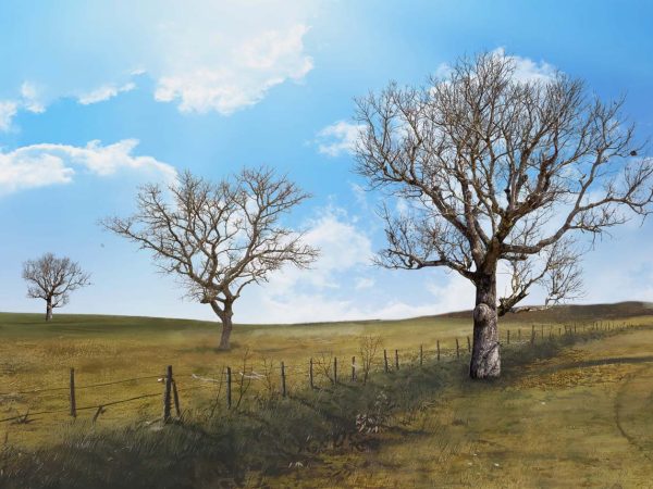 Horizon, Rural Dry Season Scape Wallpaper Mural