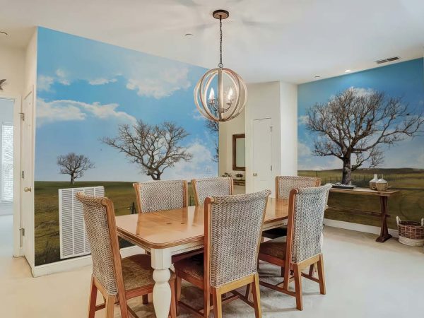 Horizon, Rural Dry Season Scape Wallpaper Mural