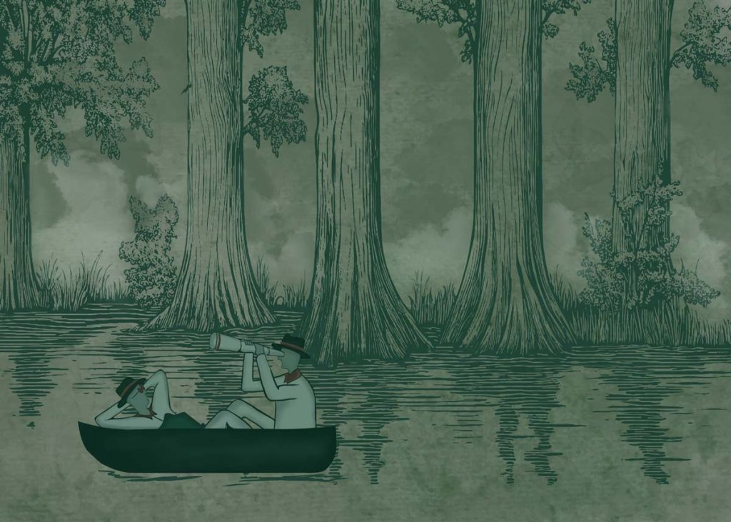 Jungle Drift, Adventurers Adrift in a Storybook Woodland Wallpaper Mural