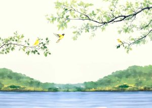 Lunelore, Whisper of the Canopy Wallpaper Mural