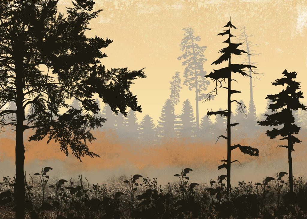 Lurien, Whispering Treefall Wallpaper Mural