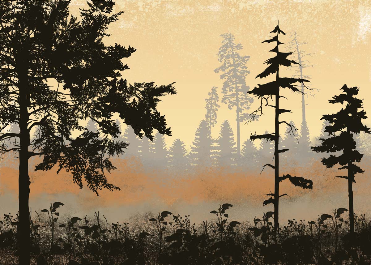 Lurien, Whispering Treefall Wallpaper Mural