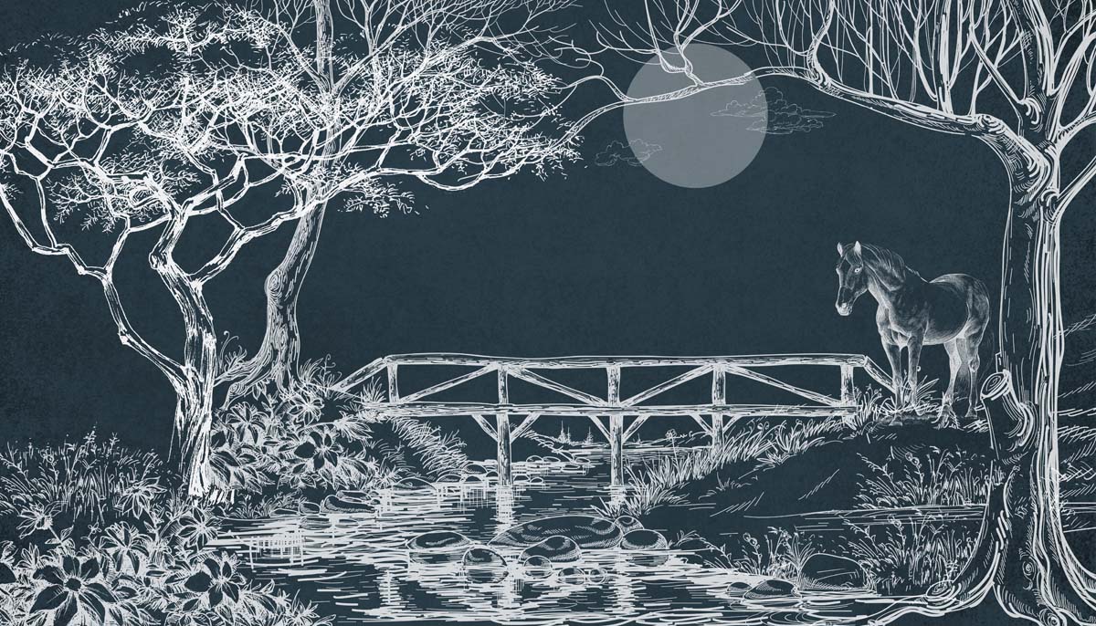 Monochromatic Landscape, Twilight Path Wallpaper Mural