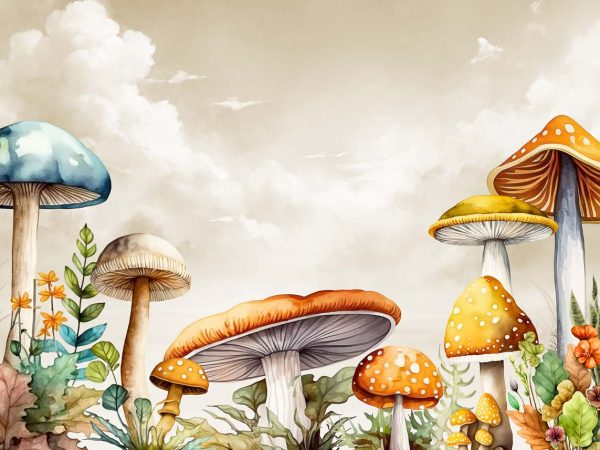 Mykora, Enchanted Mushrooms Wallpaper Mural