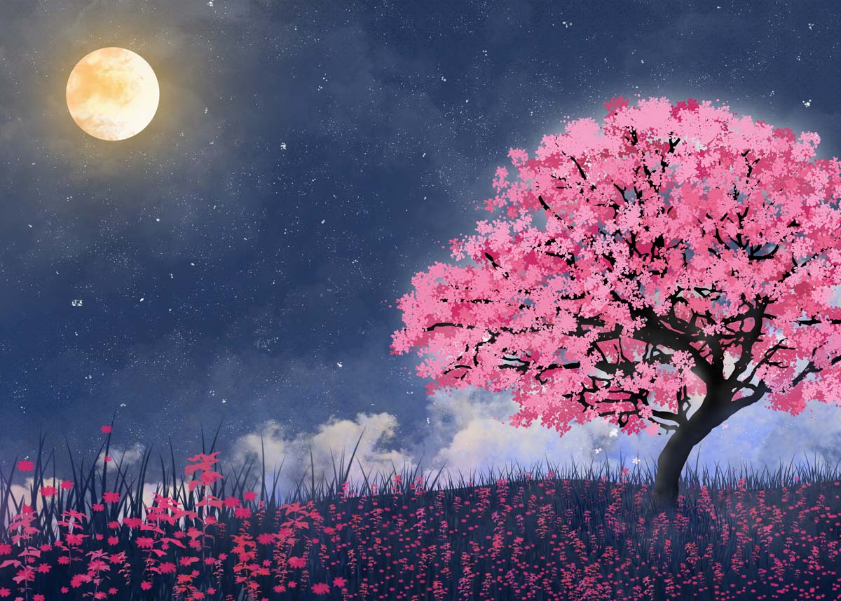 Sakurae, Twilight Cherry Blossom Whisper Wallpaper Mural