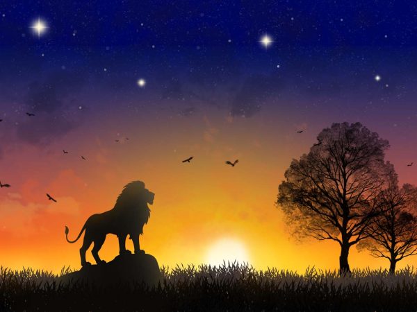 Valor, The Mighty Scenery Wallpaper Mural