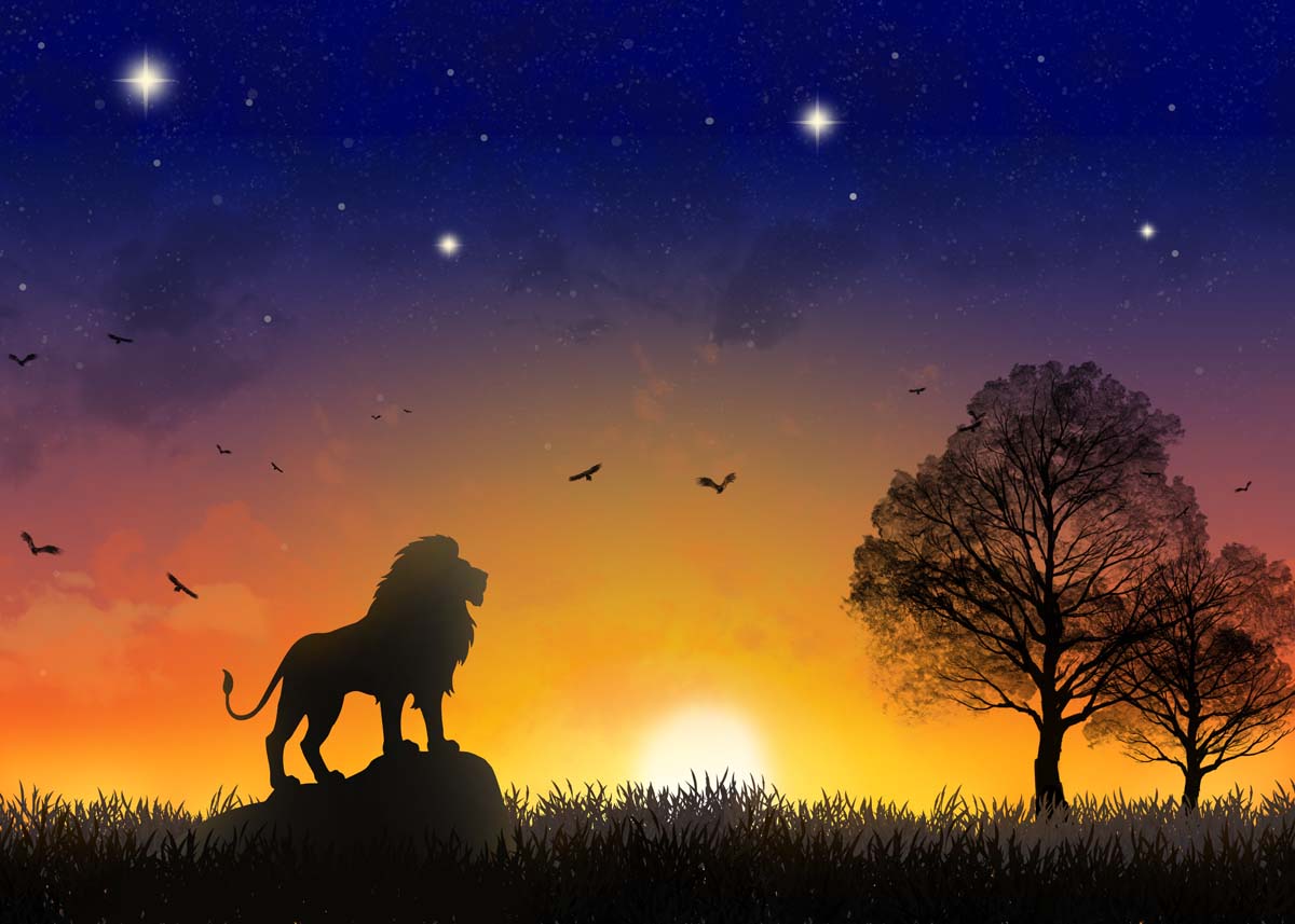 Valor, The Mighty Scenery Wallpaper Mural
