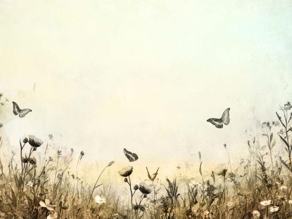Whispering Meadow, Butterfly Field Wallpaper Mural