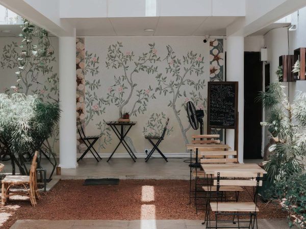 Whispering Willow, Songbird Botanical Wallpaper Mural