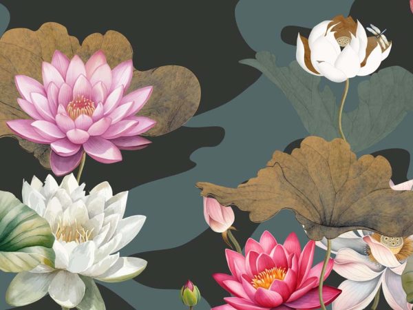 Lotos, Soothing Land of Lotus Wallpaper Mural