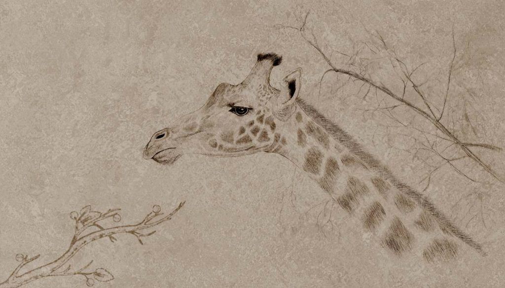 Serengeti, A Classic Sketch From The Heart of The Wild Mural
