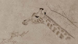 Serengeti, A Classic Sketch From The Heart of The Wild Mural