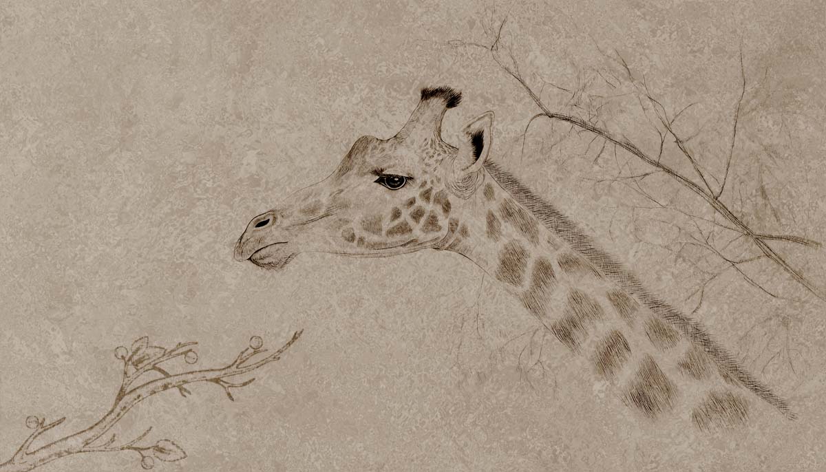 Serengeti, A Classic Sketch From The Heart of The Wild Mural