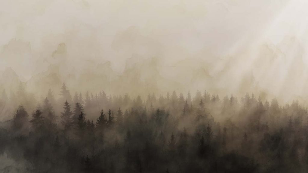 Solstice, Fleeting Moment of Light Over The Wilderness Mural
