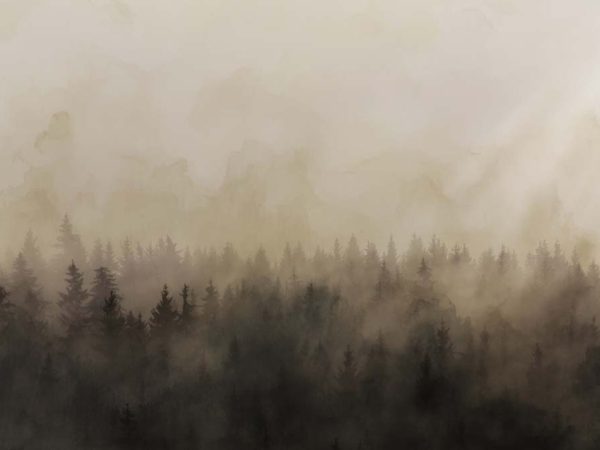 Solstice, Fleeting Moment of Light Over The Wilderness Mural