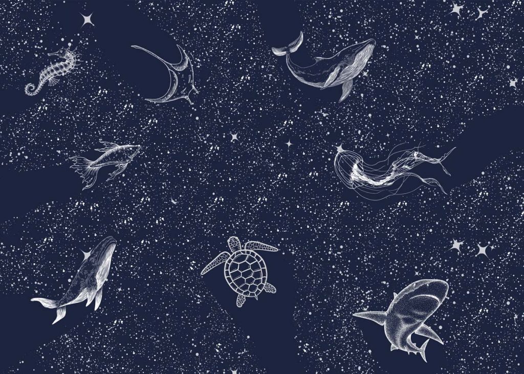 Starfield, White Line Sea Creatures Mural