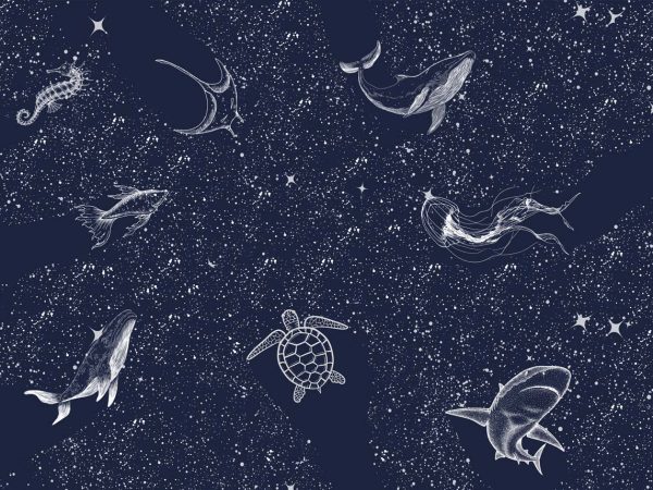 Starfield, White Line Sea Creatures Mural