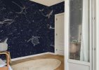 Starfield, White Line Sea Creatures Mural