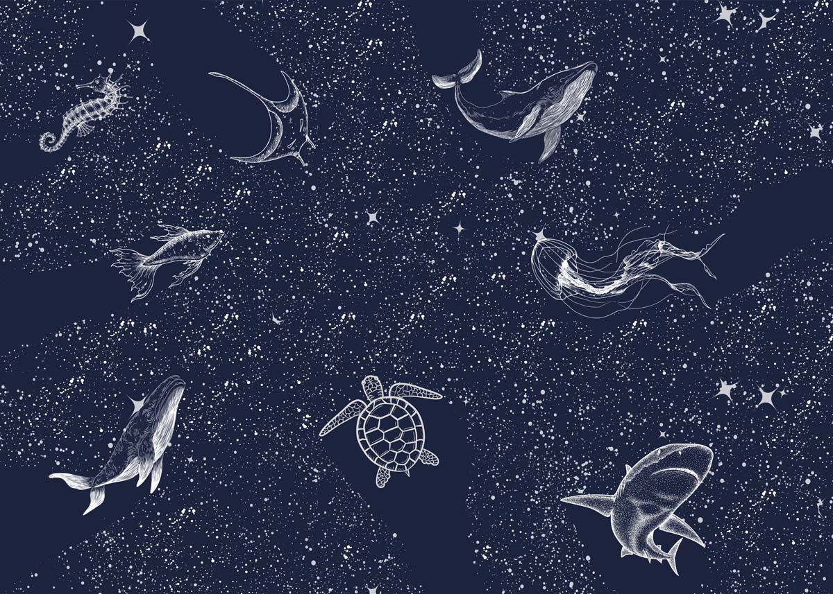 Starfield, White Line Sea Creatures Mural