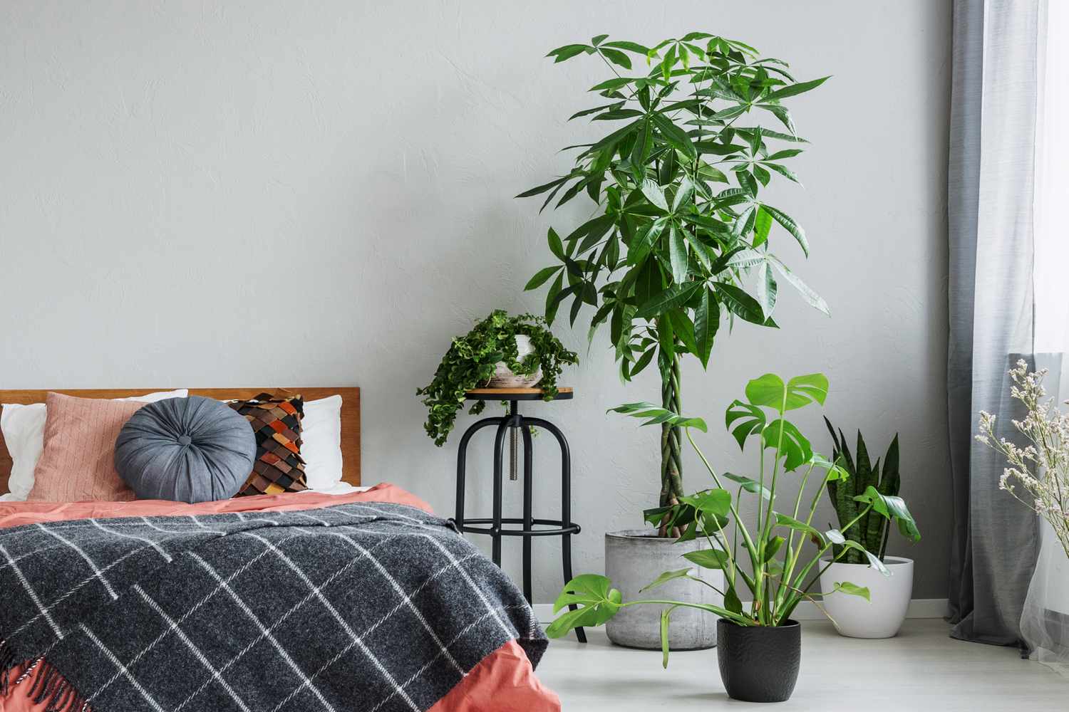 bedroom-plants-GettyImages